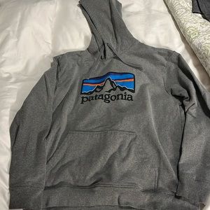 Gray Patagonia Hoodie size Large